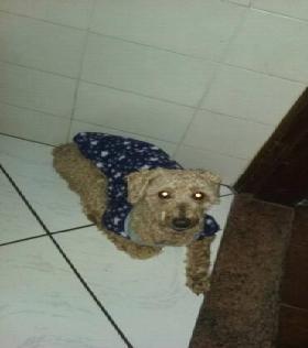 Nome 4